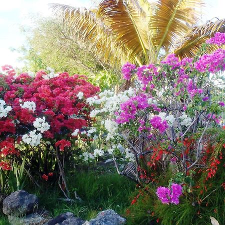 The Lodge - Antigua English Harbour 외부 사진