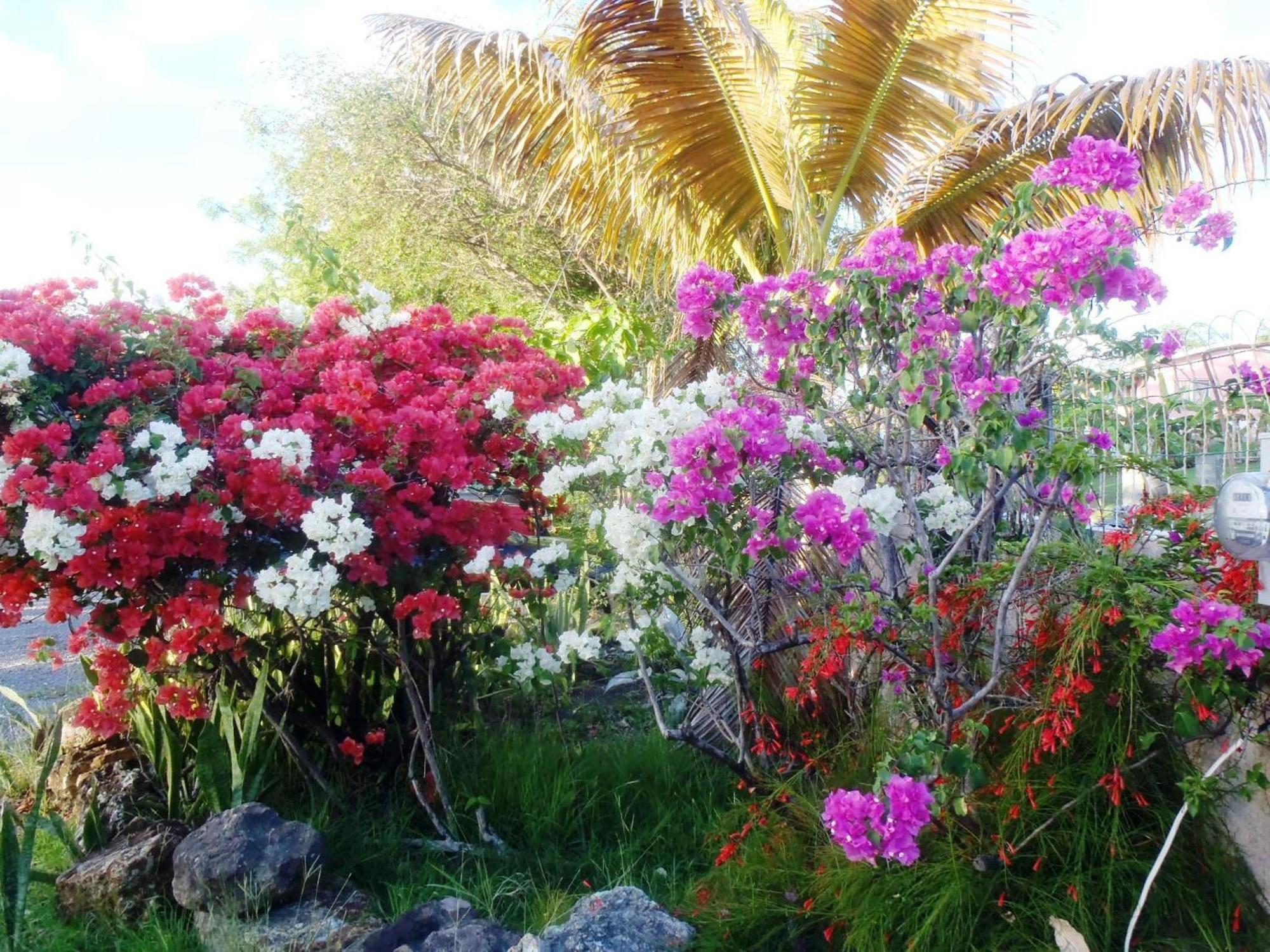 The Lodge - Antigua English Harbour 외부 사진